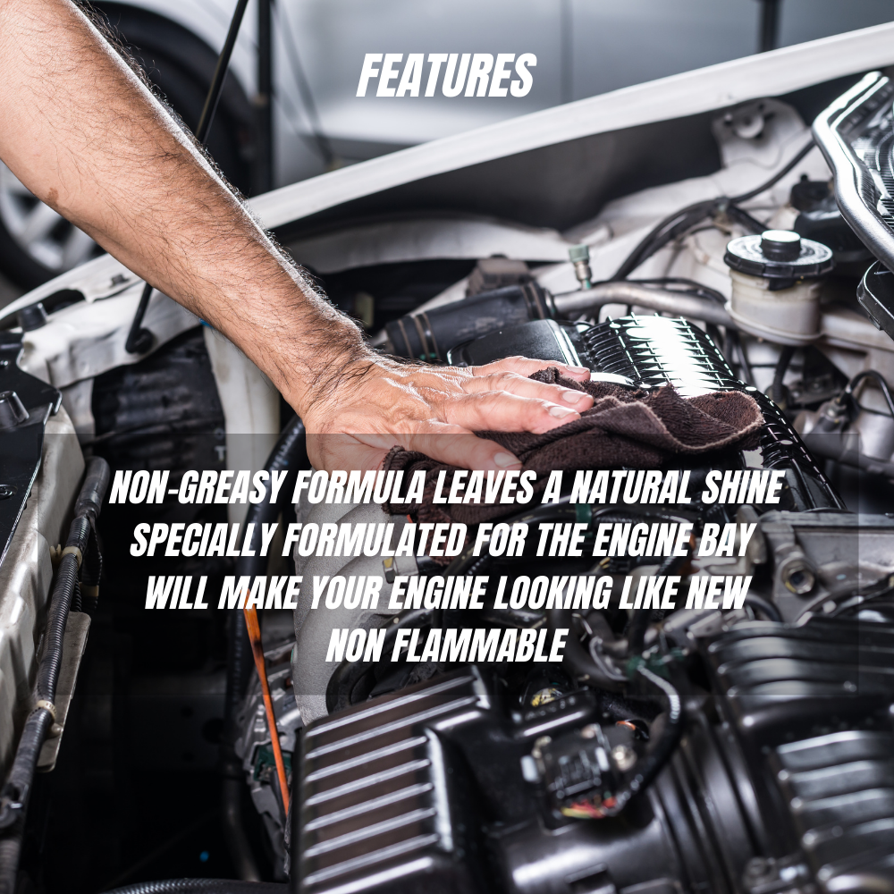 Engine Dressing Engine Cleaning Spray Buy Online in India